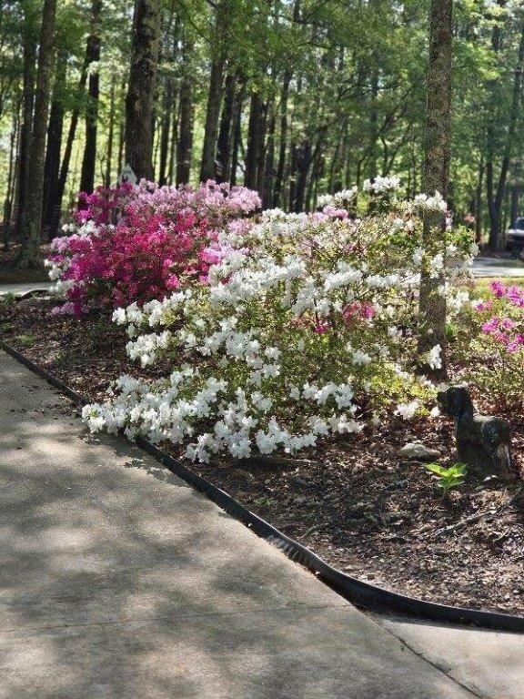 5419 Tyree Road Winston, GA 30187 - Photo 52 of 77