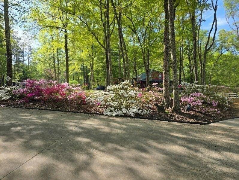 5419 Tyree Road Winston, GA 30187 - Photo 53 of 77