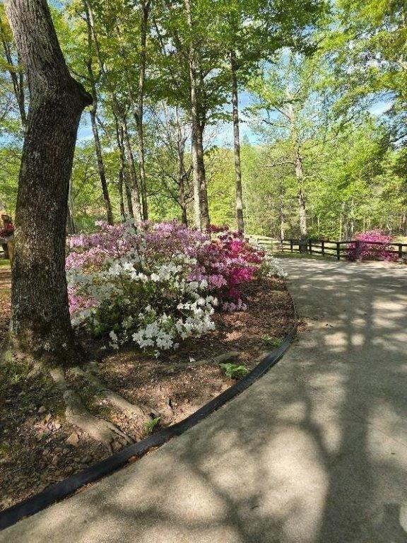 5419 Tyree Road Winston, GA 30187 - Photo 54 of 77