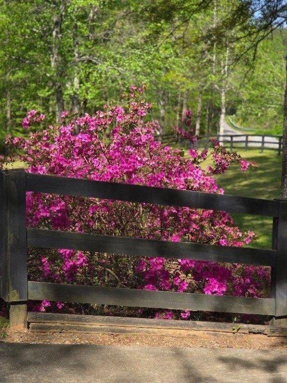 5419 Tyree Road Winston, GA 30187 - Photo 56 of 77