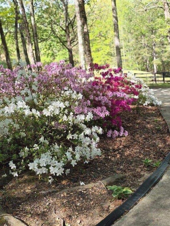 5419 Tyree Road Winston, GA 30187 - Photo 58 of 77