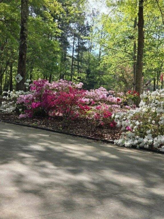 5419 Tyree Road Winston, GA 30187 - Photo 59 of 77