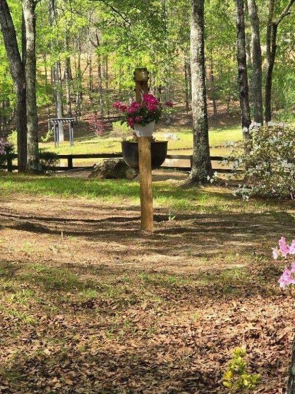 5419 Tyree Road Winston, GA 30187 - Photo 60 of 77