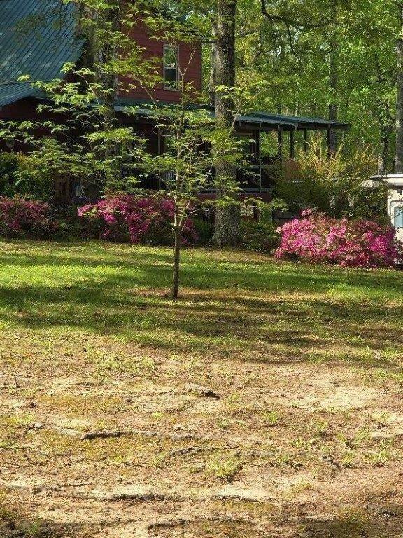 5419 Tyree Road Winston, GA 30187 - Photo 62 of 77
