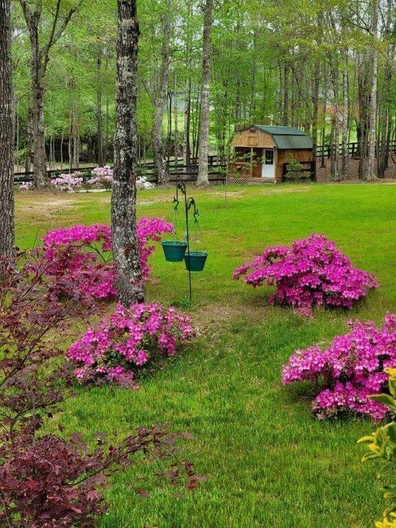 5419 Tyree Road Winston, GA 30187 - Photo 65 of 77