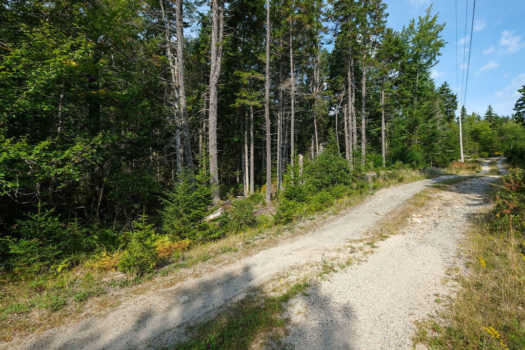 12-1 South Burnt Cove Road Stonington, ME 04681 - Photo 13 of 16 GeorgesWoodsland-14