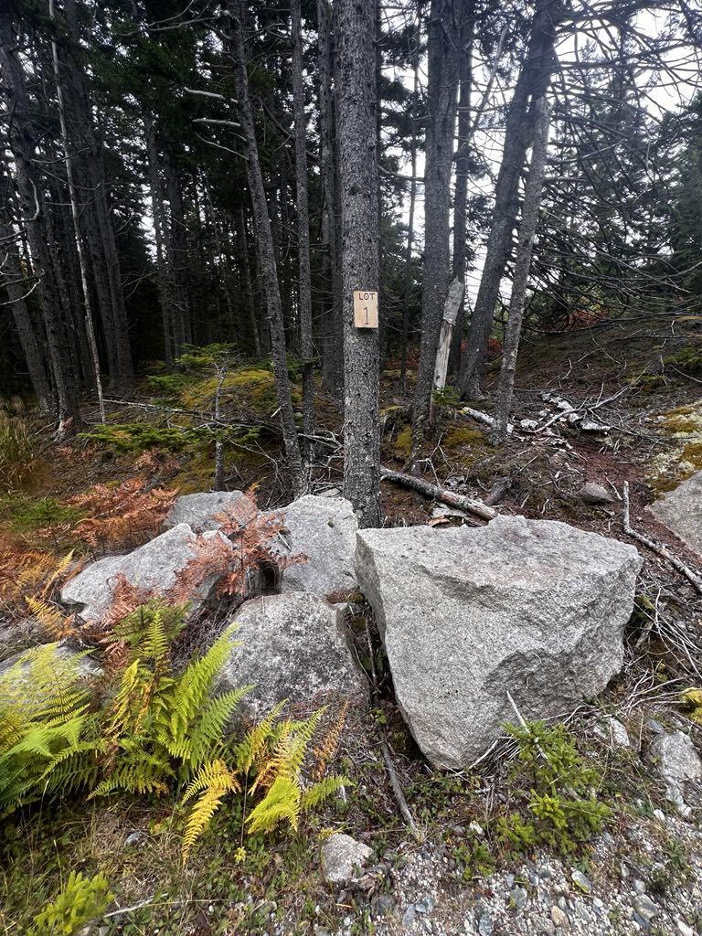 12-1 South Burnt Cove Road Stonington, ME 04681 - Photo 2 of 16 Lot 1-2