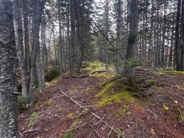 $62,500 | 12-1 South Burnt Cove Road, Stonington, ME 04681