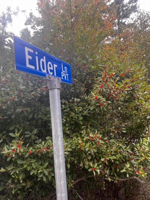 12-1 South Burnt Cove Road Stonington, ME 04681 - Photo 5 of 16 IMG_0308