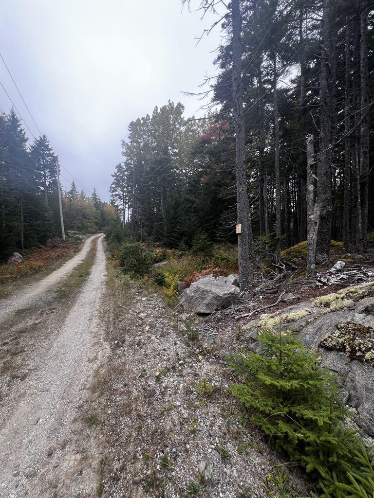 12-1 South Burnt Cove Road Stonington, ME 04681 - Photo 6 of 16 IMG_0307