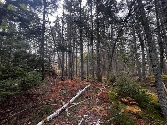$62,500 | 12-1 South Burnt Cove Road, Stonington, ME 04681