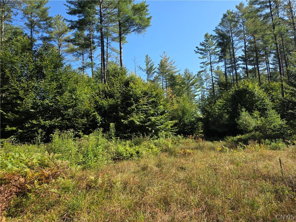 5566 Partridgeville Road Greig, NY 13312 - Photo 2 of 3
