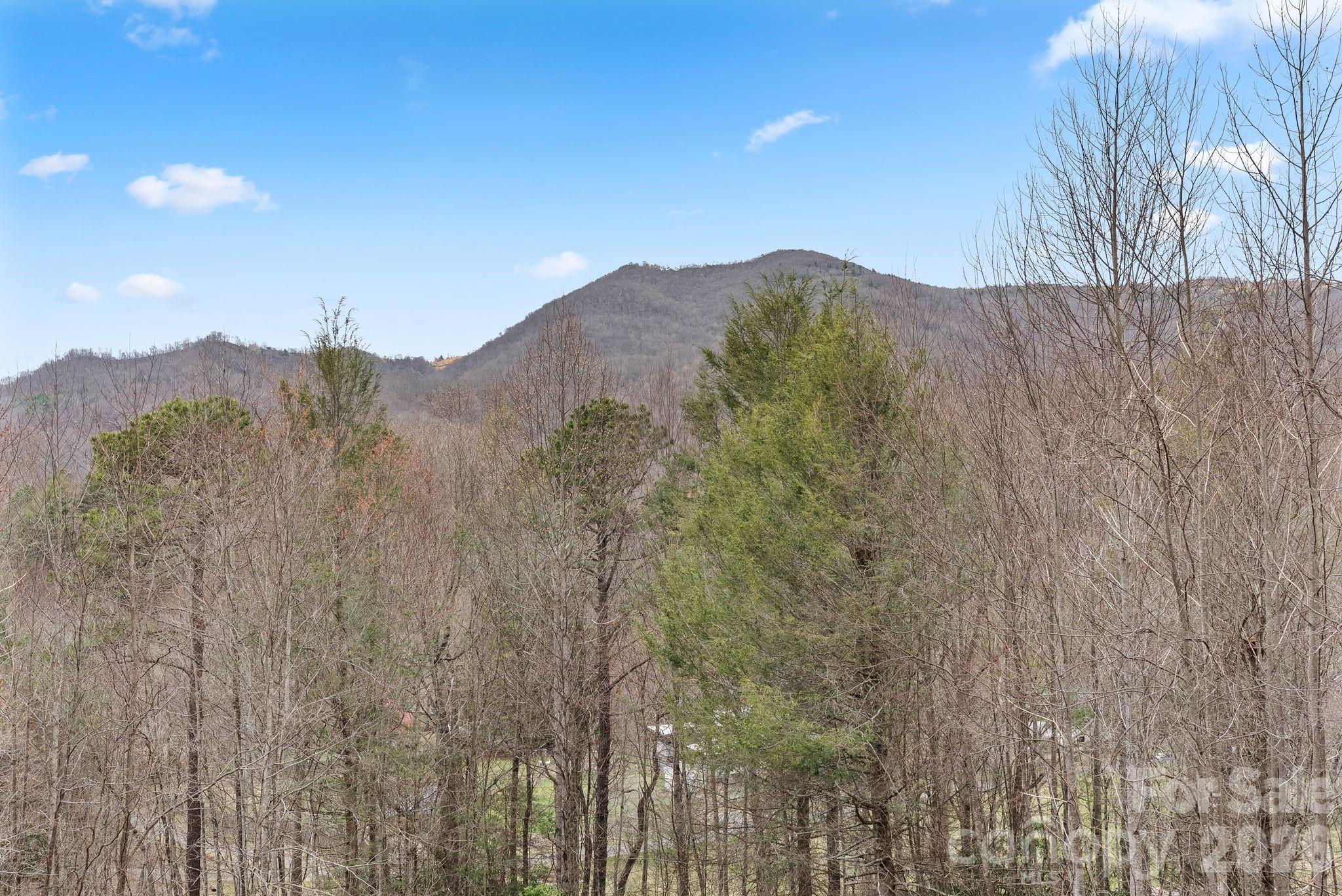 264 Moonbeam Lane Clyde, NC 28721 - Photo 38 of 46 a view of a dry yard with mountains in the background