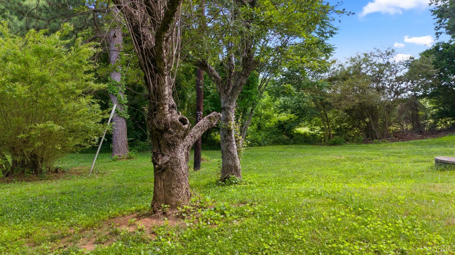 4845 Swinging Bridge Road Brookneal, VA 24528 - Photo 16 of 72 Gallery Image 16