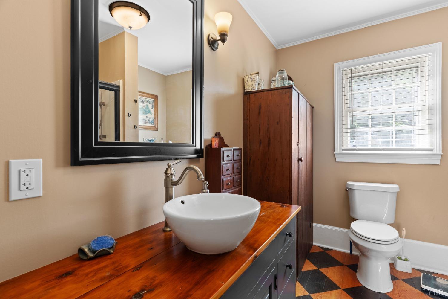 4845 Swinging Bridge Road Brookneal, VA 24528 - Photo 57 of 72 Gallery Image 57