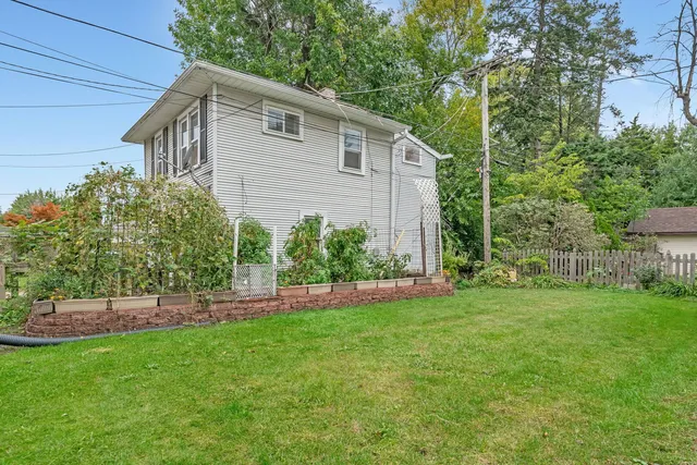 a view of a backyard with plants and large trees
