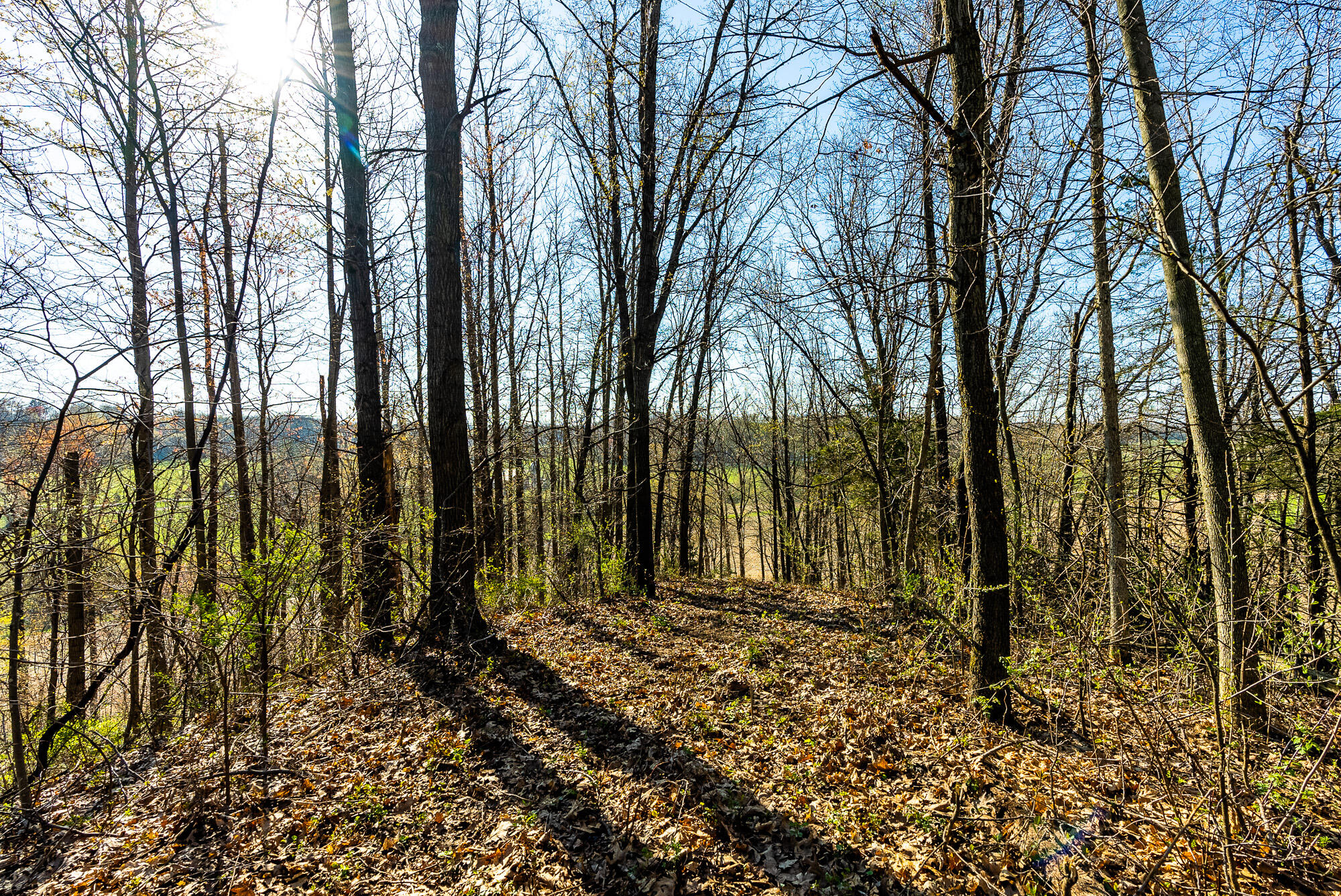 Lt2 Eli Valley Road Hillpoint, WI 53937 - Photo 26 of 47 Sauk-County-WI-53-Acres-Land-For-Sale-26