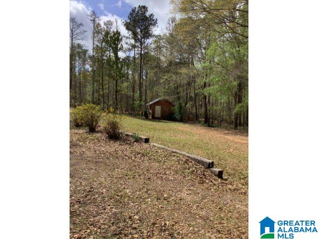 4175 Andrews Road Opelika, AL 36804 - Photo 27 of 28