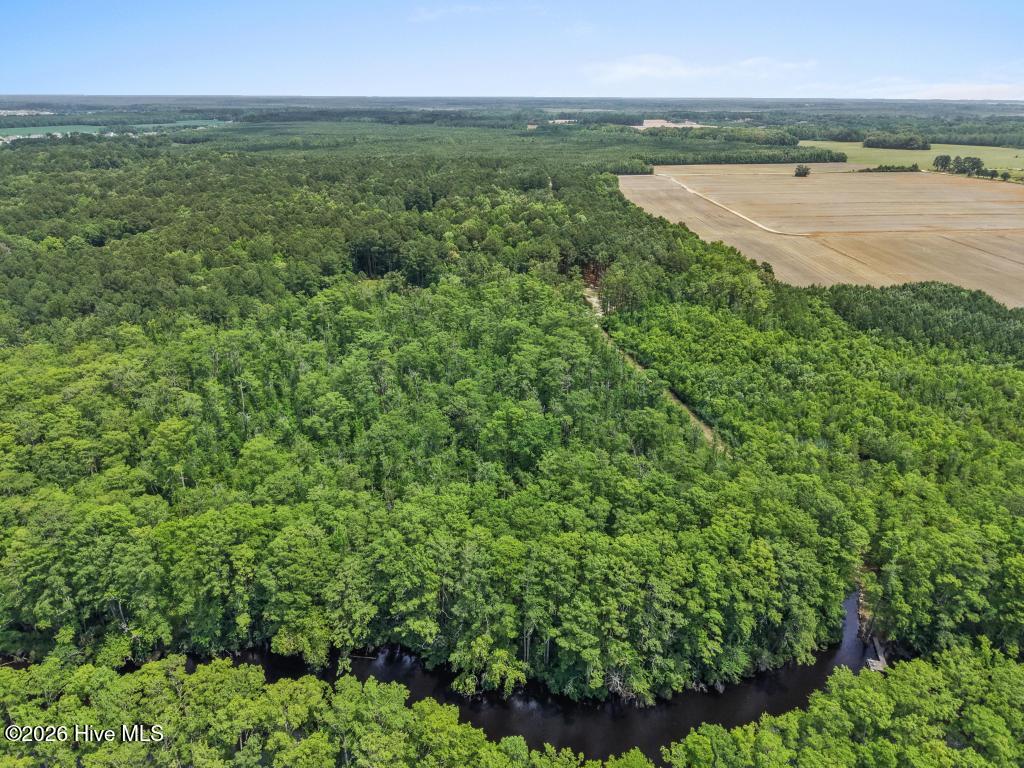 258 Guinea Mill Road Moyock, NC 27958 - Photo 53 of 54