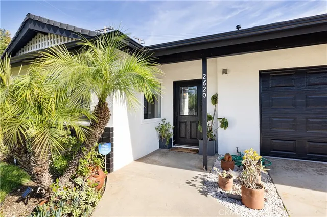 a potted plant sitting in front of a house