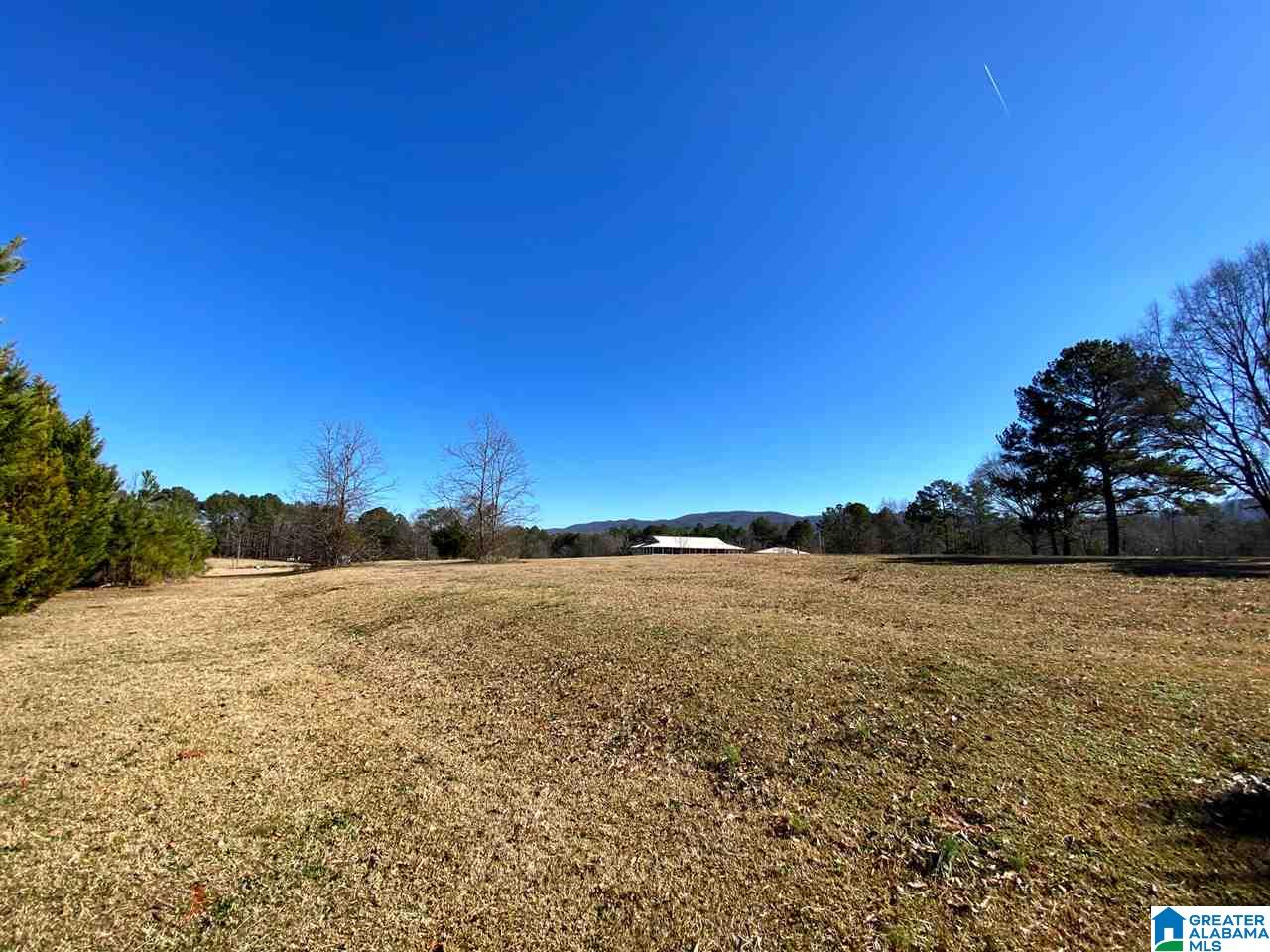 310 Merrellton Road Jacksonville, AL 36265 - Photo 29 of 30 Gallery Image 29