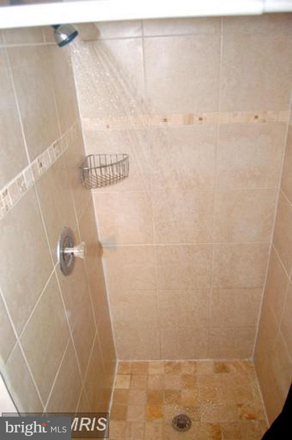 8565 Broomes Island Road Broomes Island, MD 20615 - Photo 13 of 29 Master bath shower