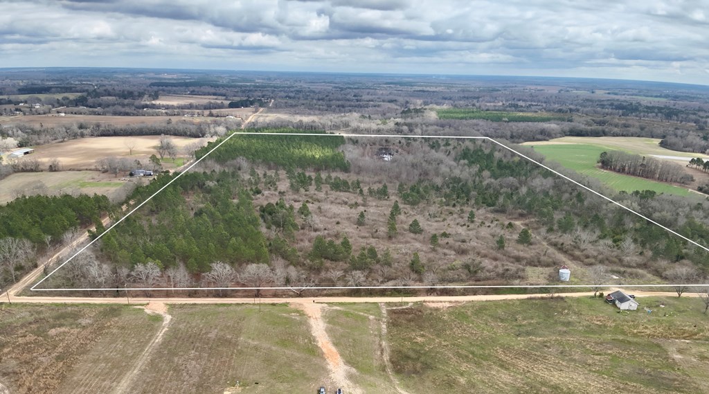 86-acres New Hinson Road Slocomb, AL 36375 - Photo 3 of 15