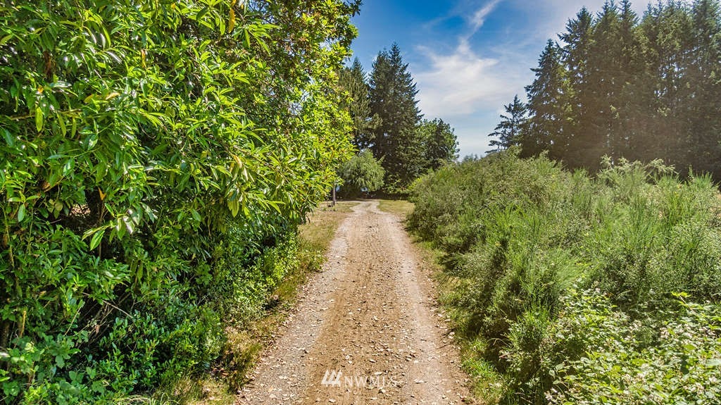 19102 Ridge Road Southwest Vashon, WA 98070 - Photo 27 of 29 a view of a pathway with a yard