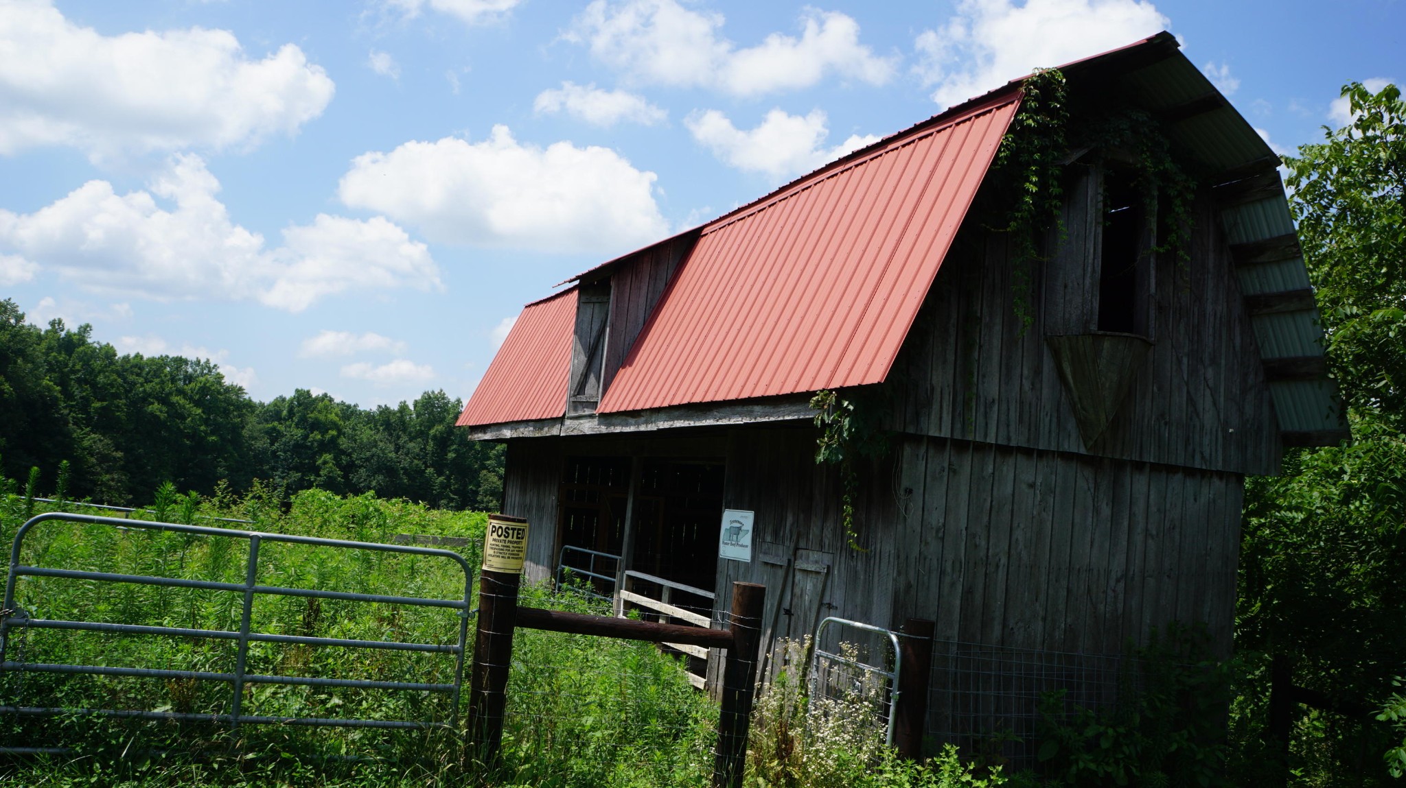412 Arthur Seagraves Road Sparta, TN 38583 - Photo 18 of 28 Gallery Image 18