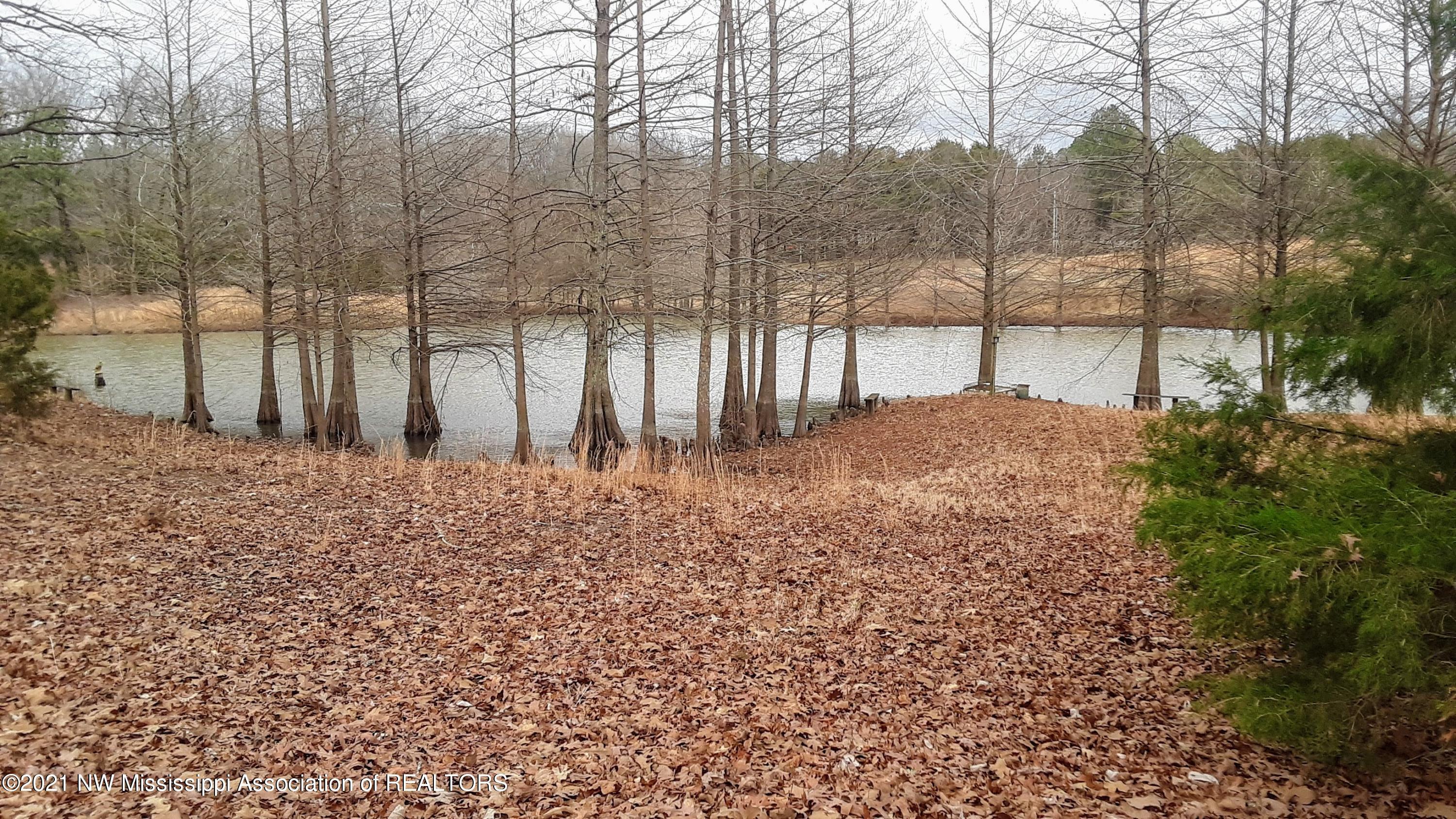 1065 South Red Banks Road Byhalia, MS 38611 - Photo 3 of 19 lake view from porch