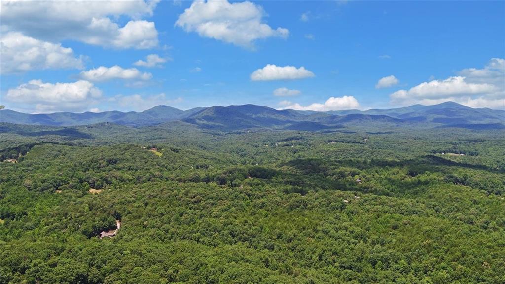 368 Stancil Dyer Road Dahlonega, GA 30533 - Photo 72 of 80