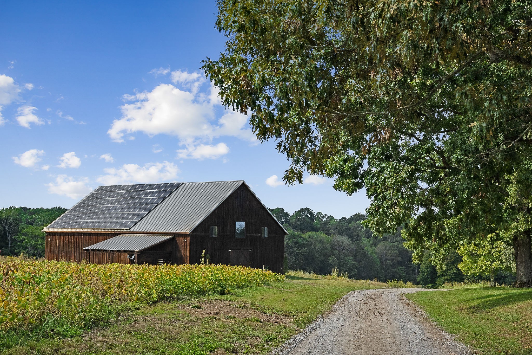 1050 Pine Creek Falls Road Smithville, TN 37166 - Photo 35 of 97
