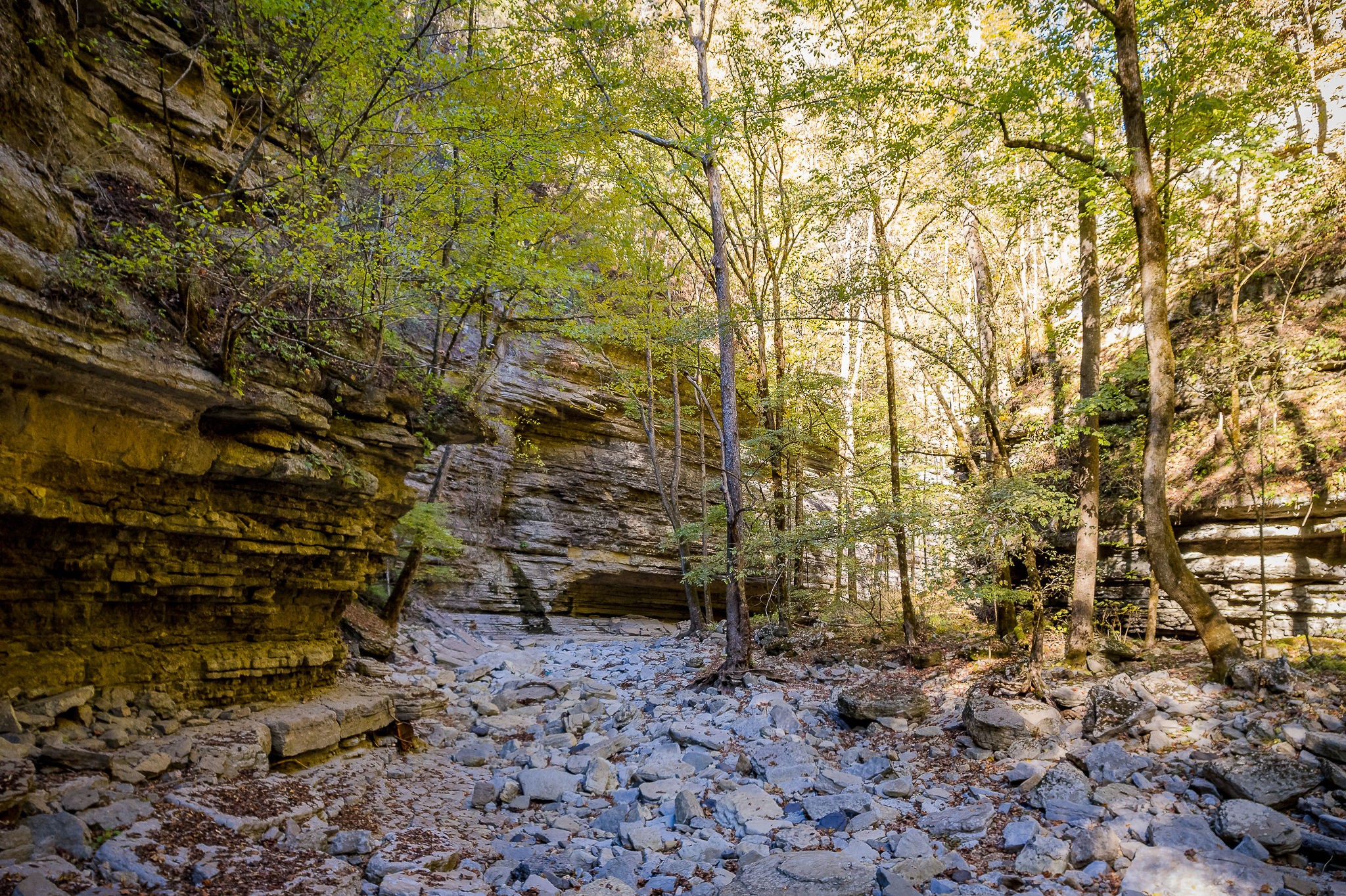 1050 Pine Creek Falls Road Smithville, TN 37166 - Photo 4 of 97