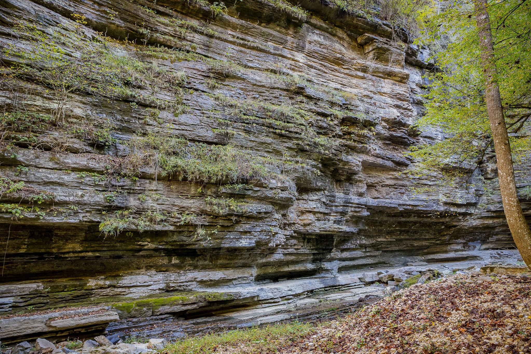 1050 Pine Creek Falls Road Smithville, TN 37166 - Photo 5 of 97