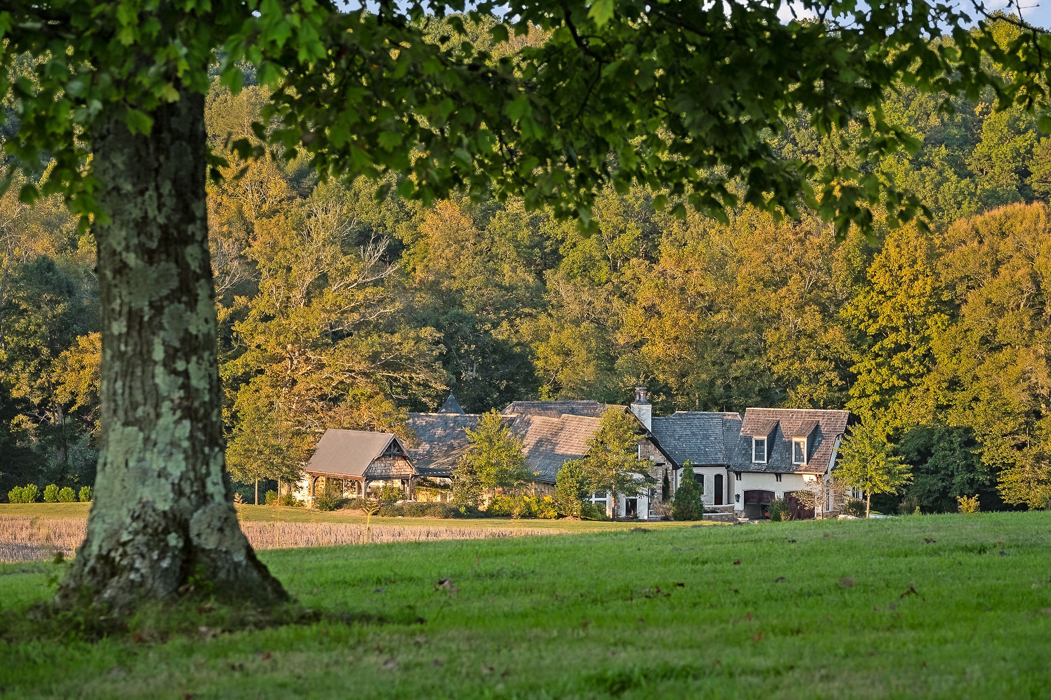 1050 Pine Creek Falls Road Smithville, TN 37166 - Photo 75 of 97