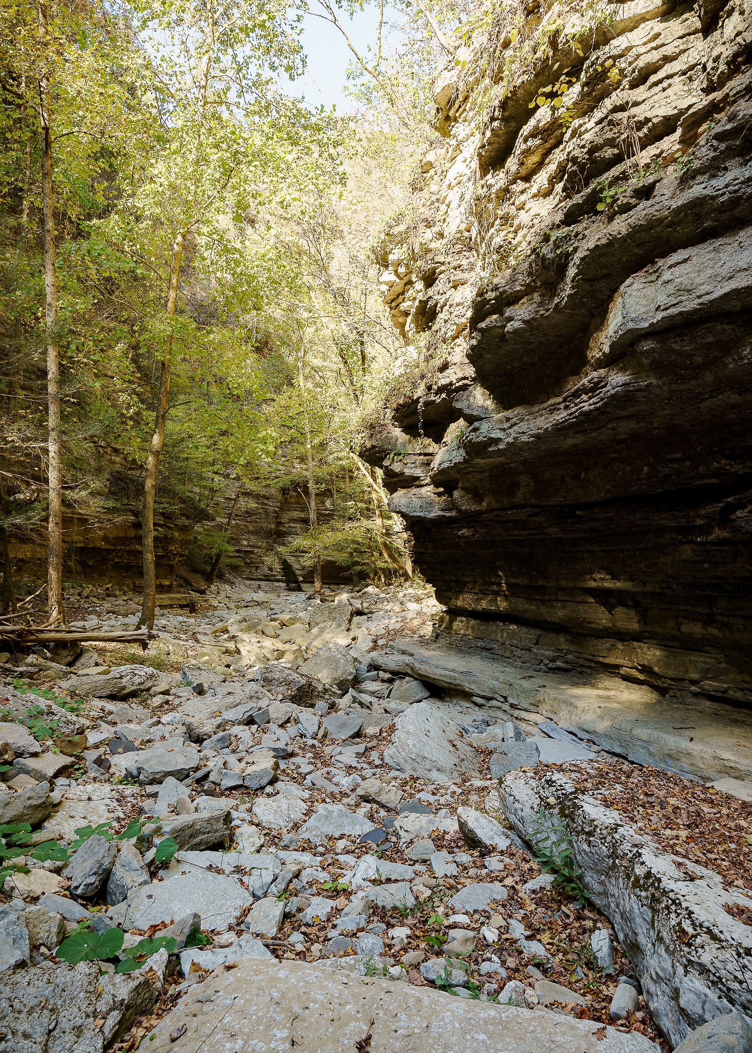 1050 Pine Creek Falls Road Smithville, TN 37166 - Photo 77 of 97