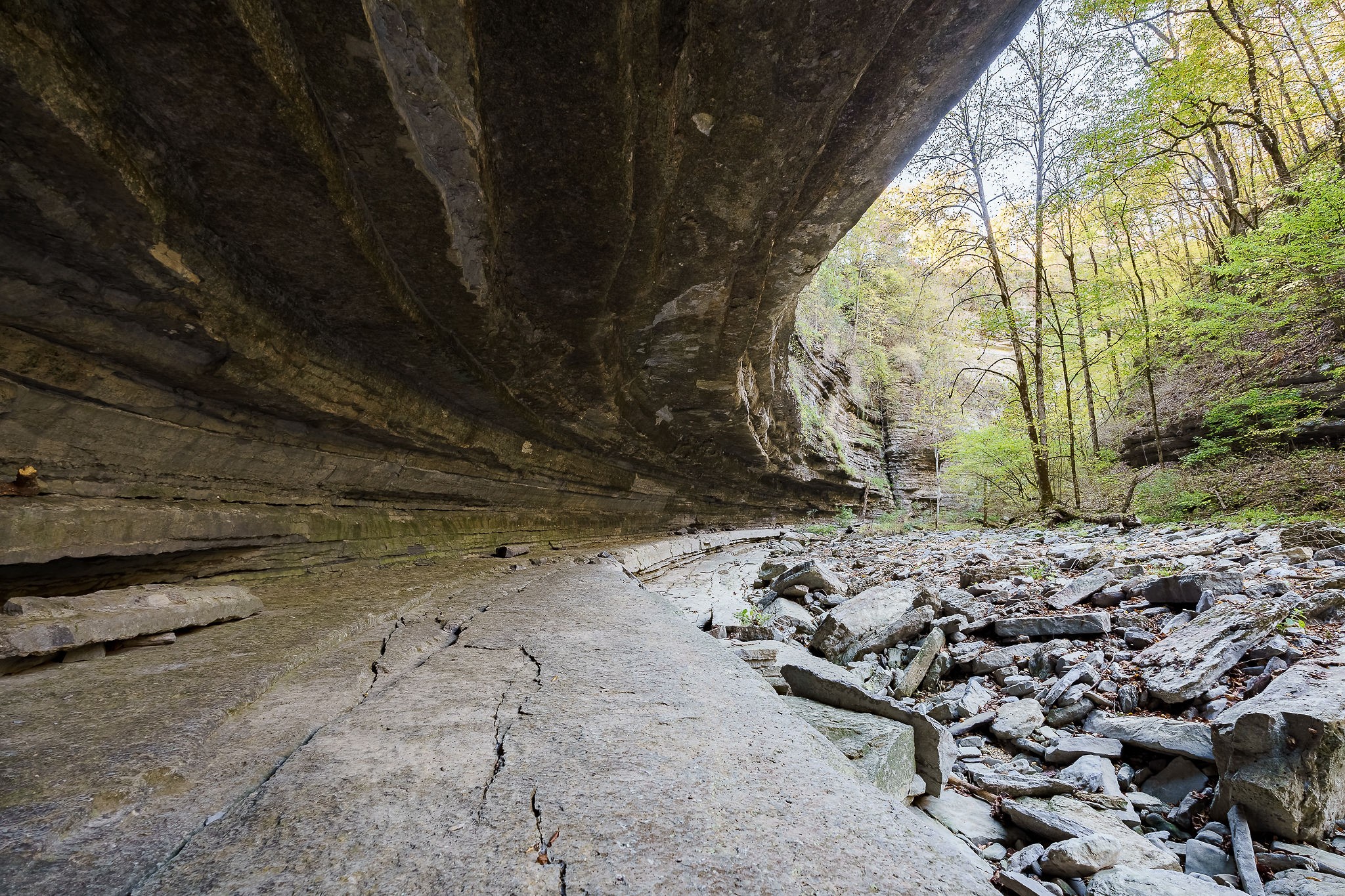 1050 Pine Creek Falls Road Smithville, TN 37166 - Photo 78 of 97