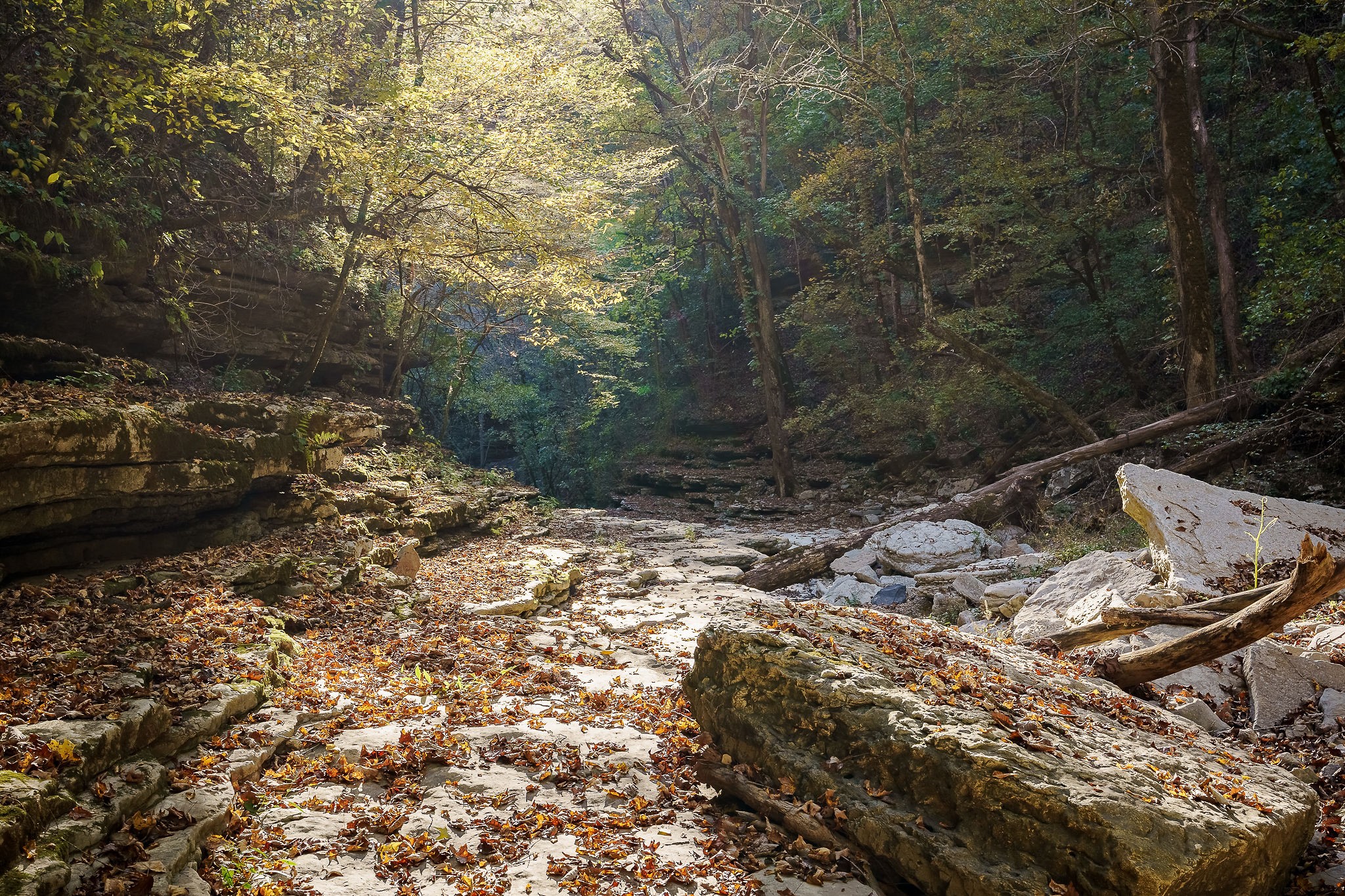 1050 Pine Creek Falls Road Smithville, TN 37166 - Photo 79 of 97
