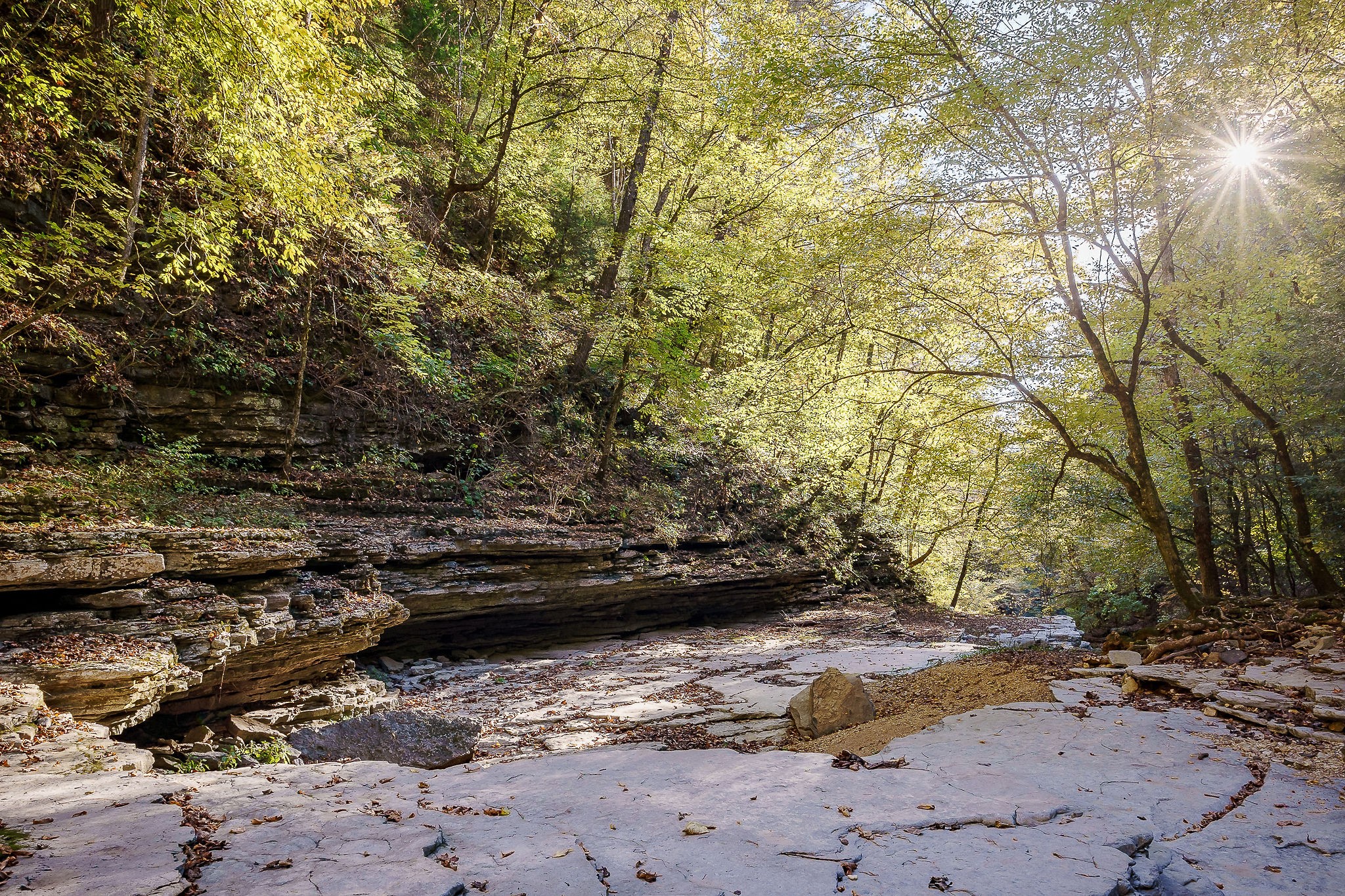 1050 Pine Creek Falls Road Smithville, TN 37166 - Photo 80 of 97