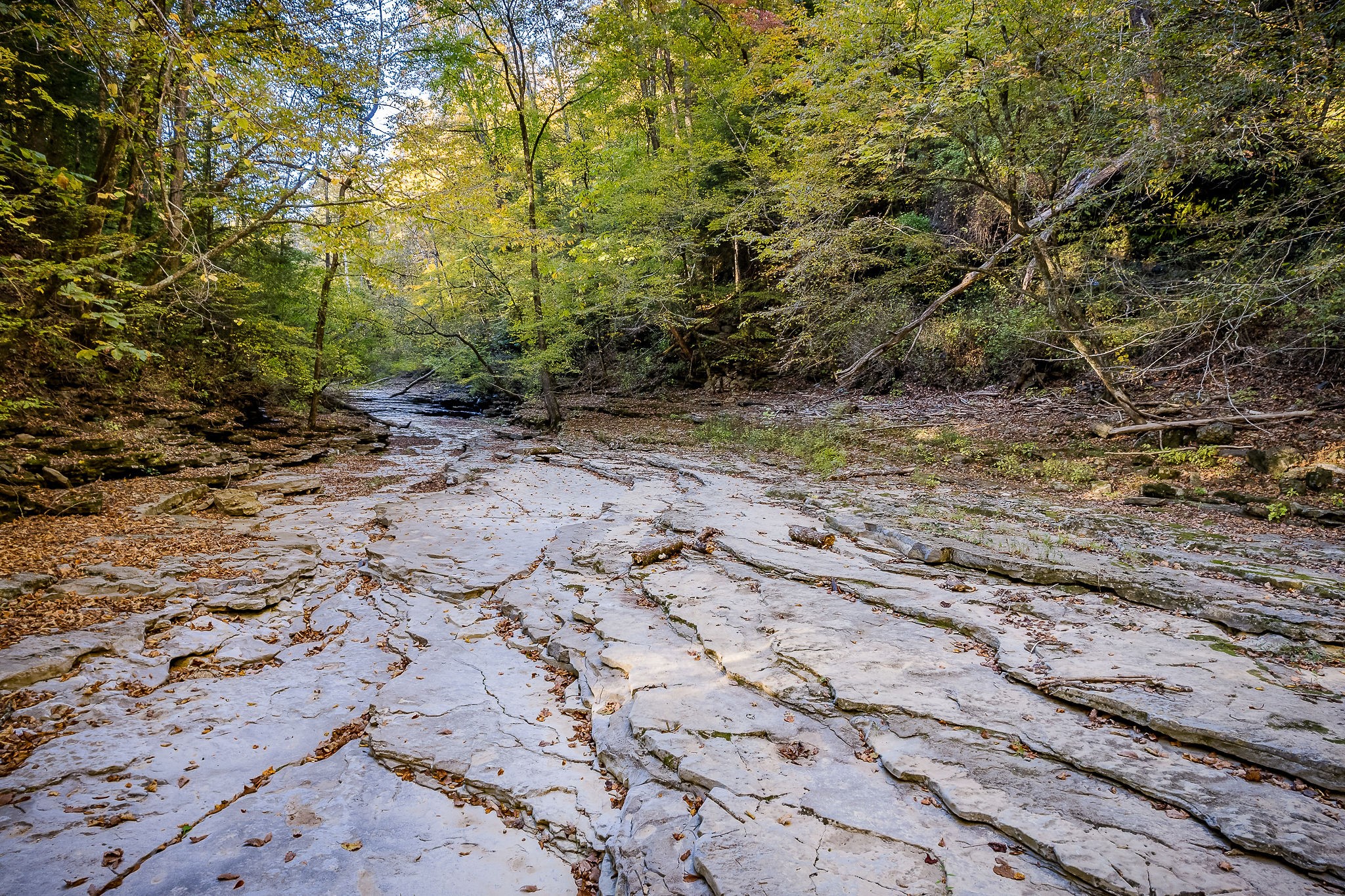 1050 Pine Creek Falls Road Smithville, TN 37166 - Photo 8 of 97