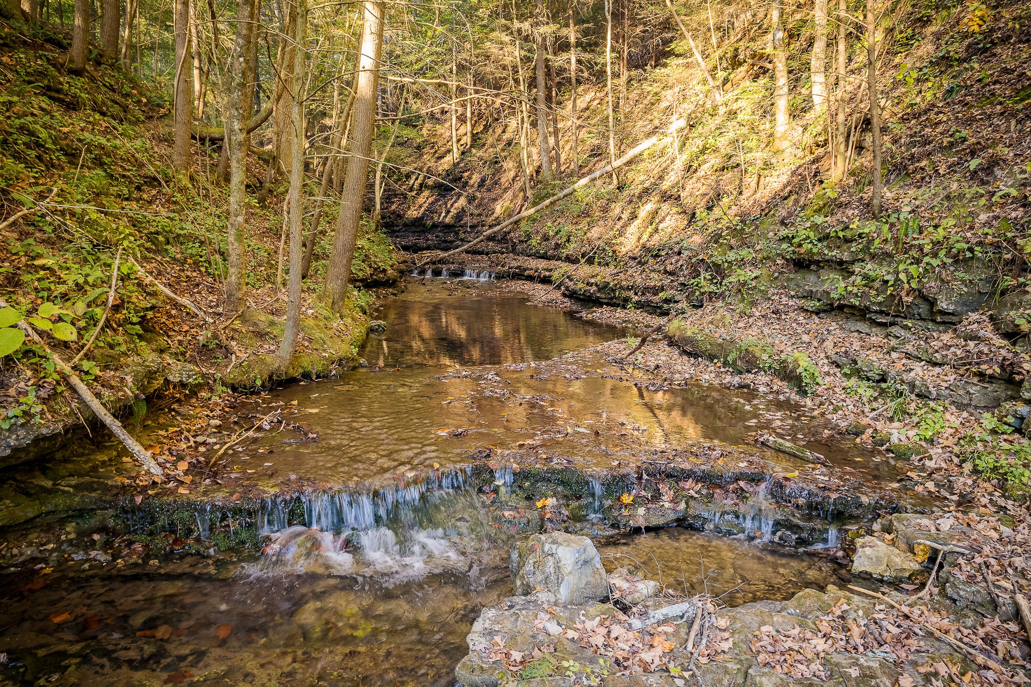1050 Pine Creek Falls Road Smithville, TN 37166 - Photo 10 of 97