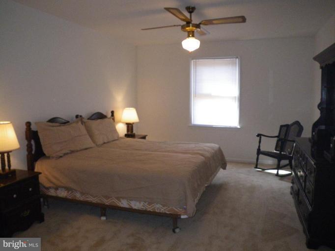 5349 Wendy Road Sykesville, MD 21784 - Photo 6 of 23 Master Bedroom