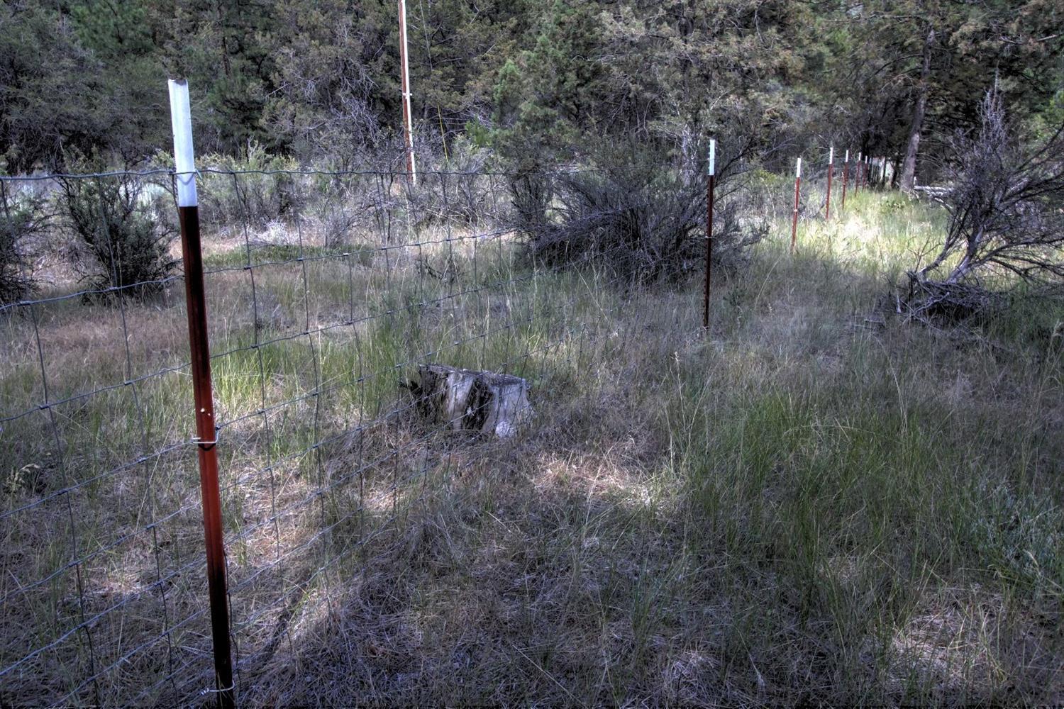 1050 Telephone Flat Road Chiloquin, OR 97624 - Photo 31 of 35 Additional Photo