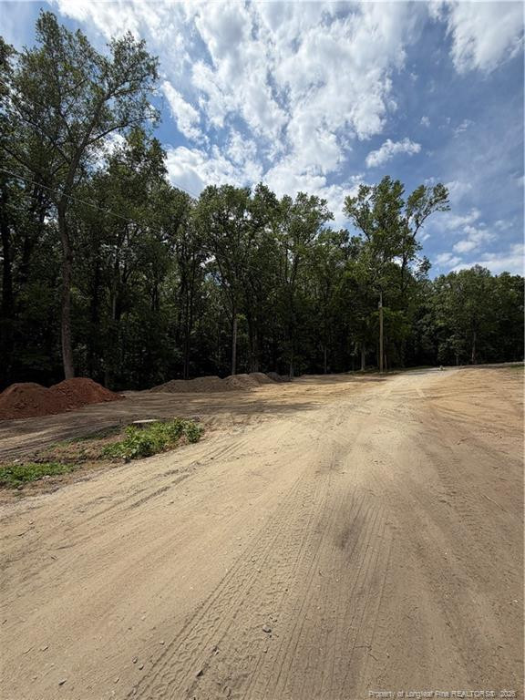 0 Fire Dept Road Smithfield, NC 27577 - Photo 34 of 34 Photo 34