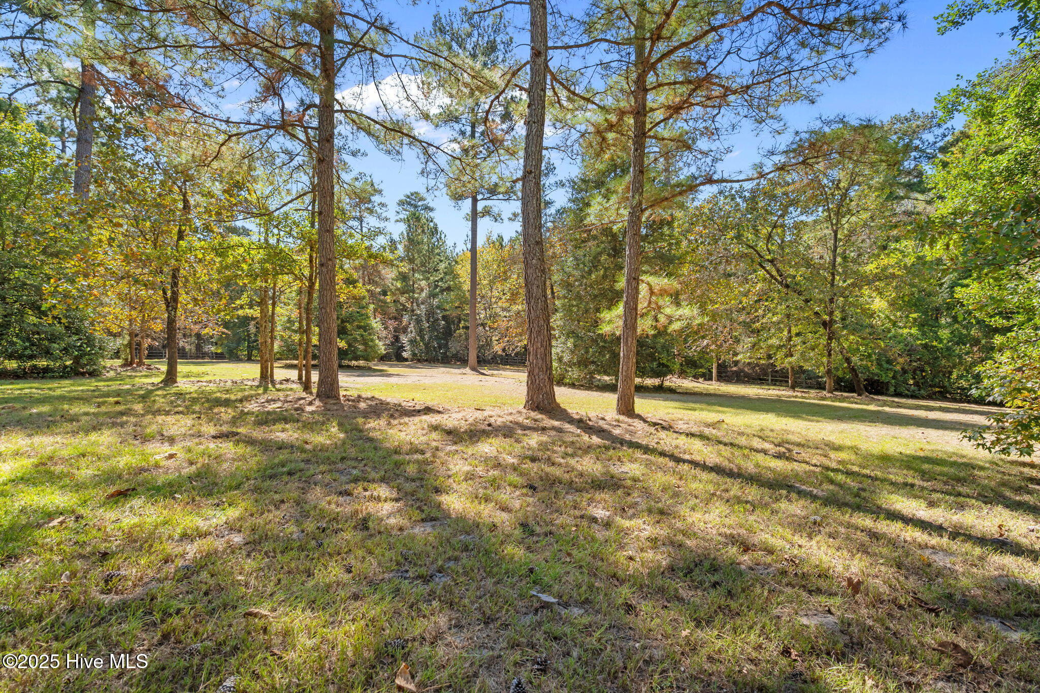 176 Causey Road Vass, NC 28394 - Photo 14 of 66 29-web-or-mls-DSC05901