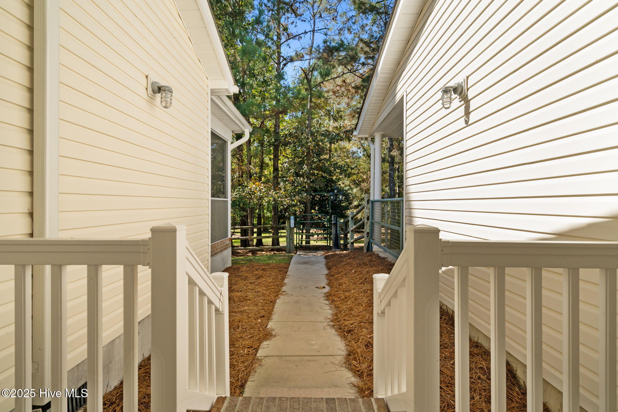 176 Causey Road Vass, NC 28394 - Photo 47 of 66 42-web-or-mls-DSC05916