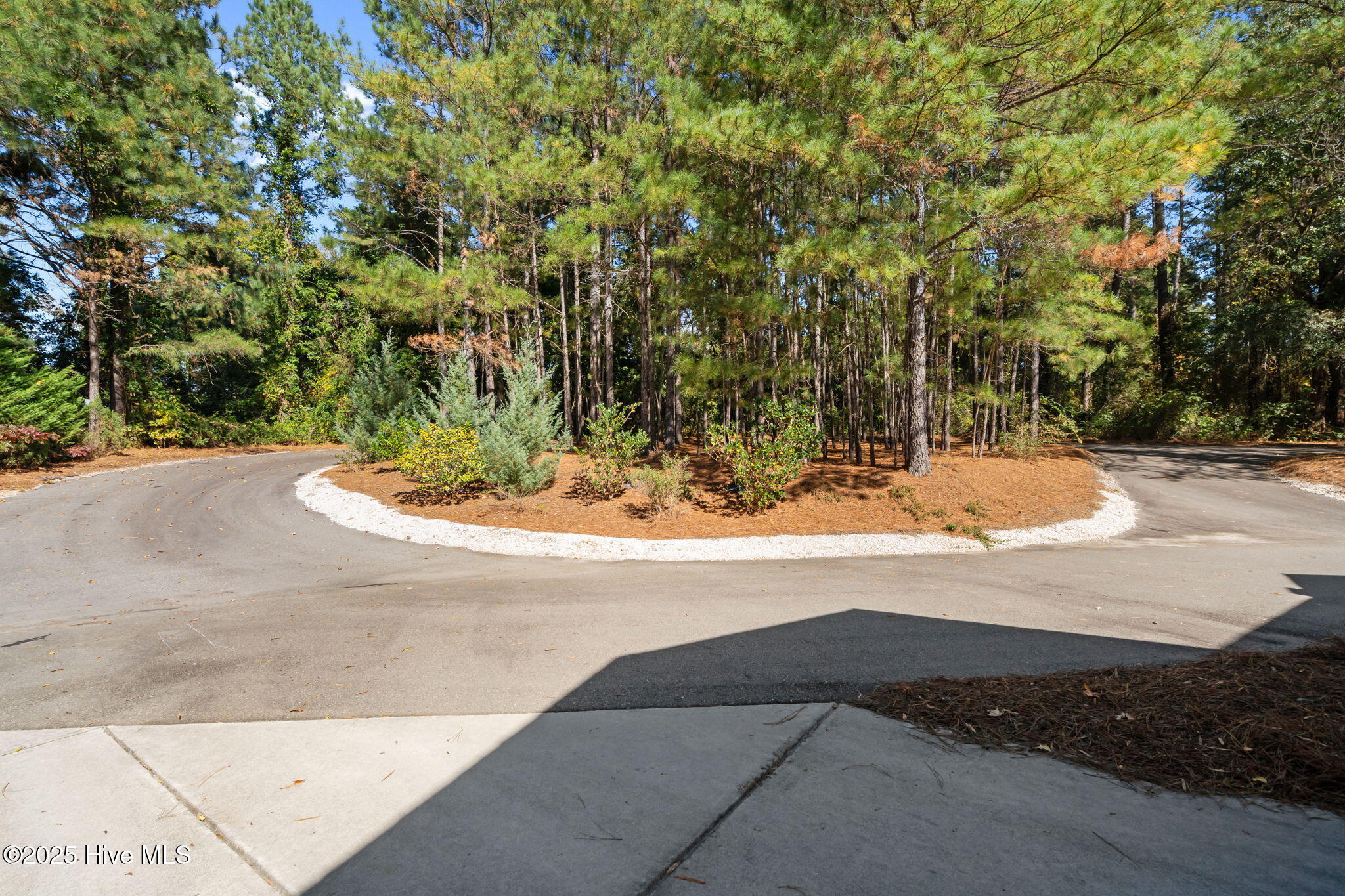 176 Causey Road Vass, NC 28394 - Photo 5 of 66 44-web-or-mls-DSC05918