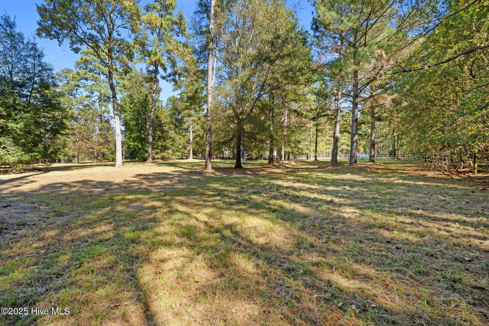 176 Causey Road Vass, NC 28394 - Photo 53 of 66 21-web-or-mls-DSC05892