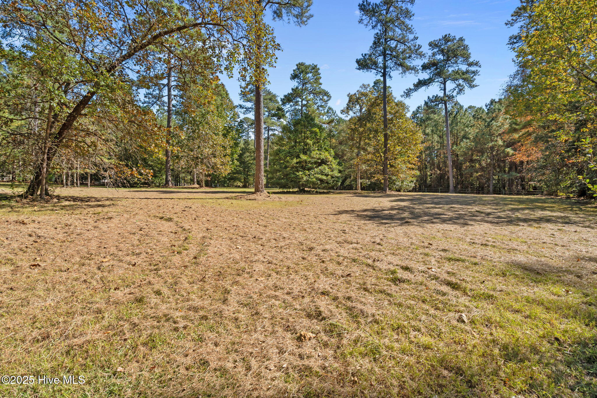 176 Causey Road Vass, NC 28394 - Photo 56 of 66 25-web-or-mls-DSC05896