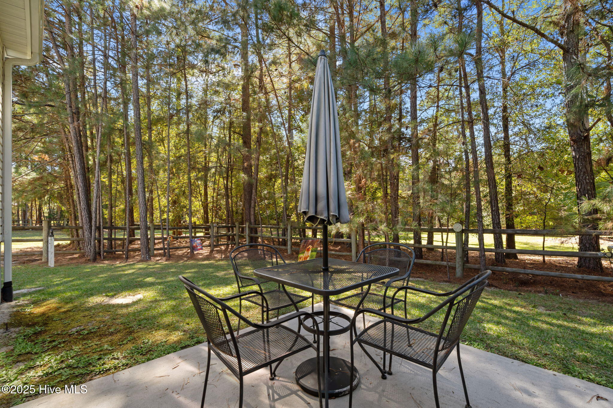 176 Causey Road Vass, NC 28394 - Photo 59 of 66 49-web-or-mls-DSC05928